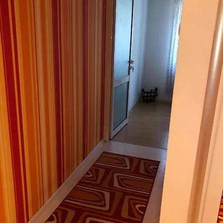 Shanaq شقة *